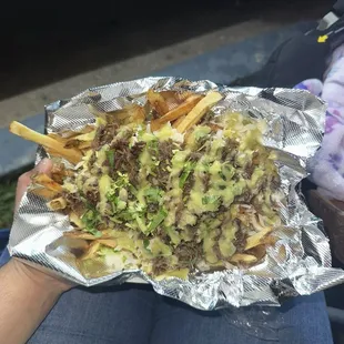 Barbacoa fries