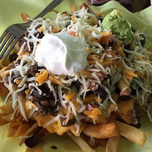 Carne Asada fries!
