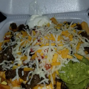 Asada Fries.