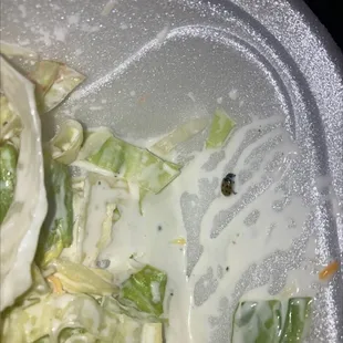 love the food here but i found a bug in my salad today :(