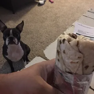 Classic Burrito