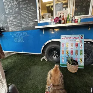 Food truck