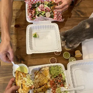 Quesadilla and 5 mini tacos! Yum!