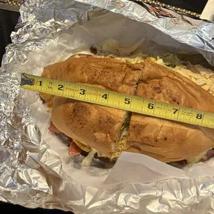 10&quot; long