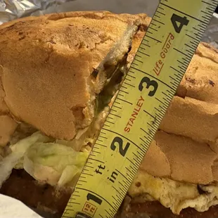 This Torta is 10&quot; long and about 3 1/2&quot; tall.