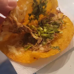 These are my soggy, greasy Birria Tacos with way too many cilantro stems.