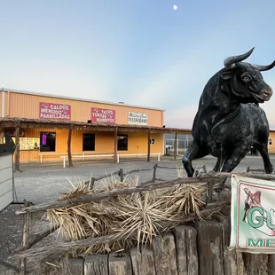 a bull statue in front of a restaurant