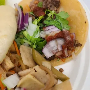 Beef taco and beef bao