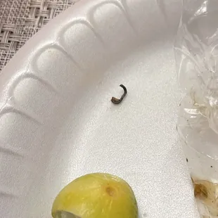 Hog Ring or Staple