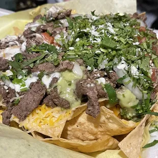 Carne asada nachos