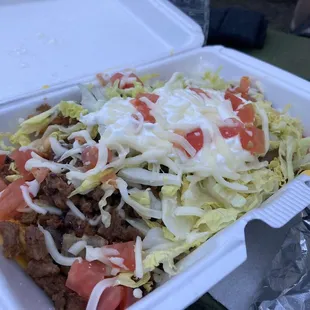 Asada fries with everything