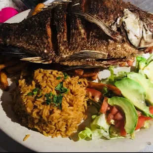 grilled seafood, grilled fish, seafood, fish, food