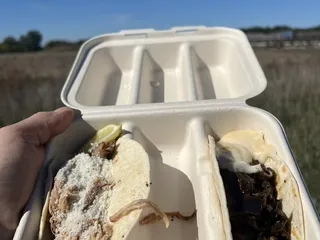 Tic Tac Taco