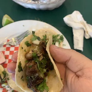 Carnitas soft taco