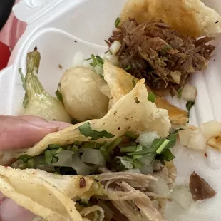 a hand holding a taco