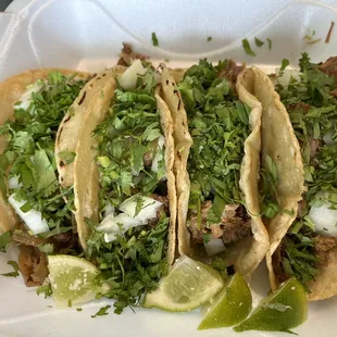 Barbacoa Taco and Carnitas Taco