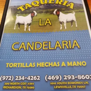 two goats in a field