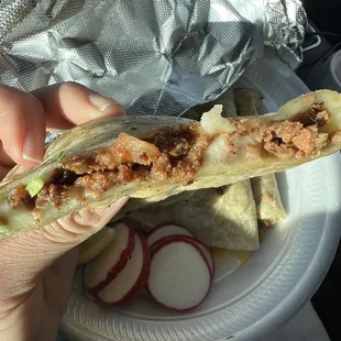 Asada Quesadilla