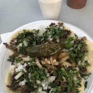 Asada Mini Tacos