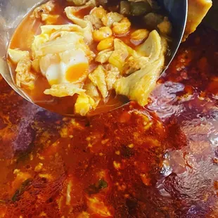 a spoon full of soup