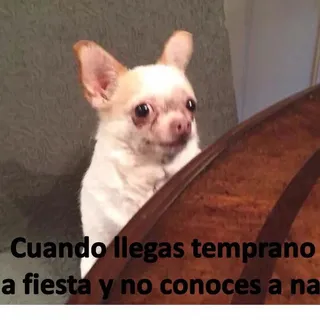 Marcos B.