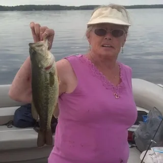 Cathy D.