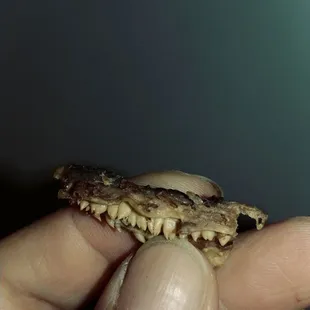 U better check your barbacoa!!!!