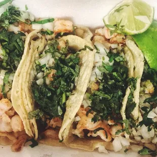 shrimp tacos