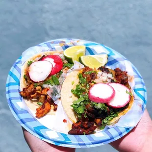 Soft Tacos (Al Pastor + BBQ Chicken)