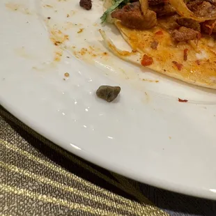 a taqueria la iguana on a white plate