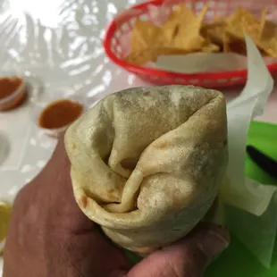 a hand holding a tortilla