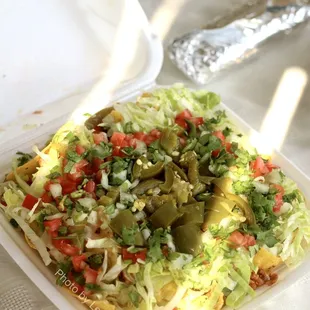 Nachos de Pollo (Marinated Chicken) ($12)