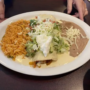 Veggie burrito plate.