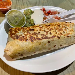 Steak Quesadilla
