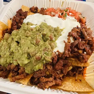 Al pastor Nacho Plate with no beans