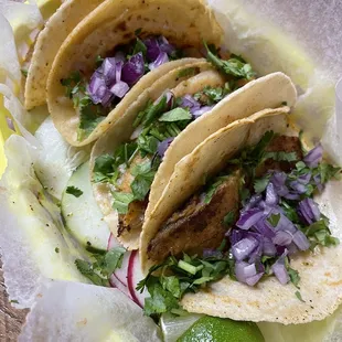 tacos de pescado y tacos de camarón