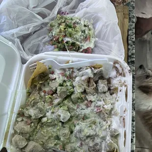 Chile Verde Taco Salad