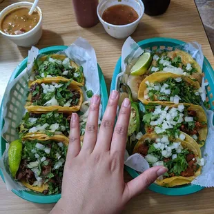 Left: two barbacoa and two fajita Right: two pastor and two chicharron Comes w/side of charro beans. Barbacoa is amazing here. Good size
