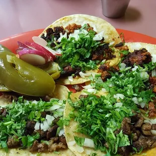 Steak Street Tacos