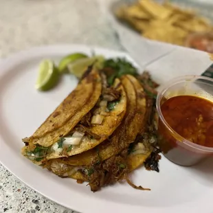 Birria tacos