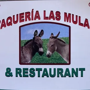 two donkeys facing each other