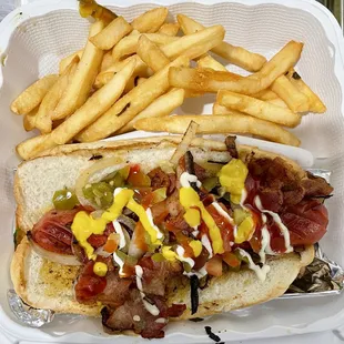 Hot Dog and Fries