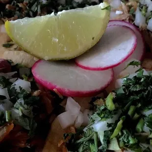 Carnitas Tacos complete with radishes, cilantro, and lime.