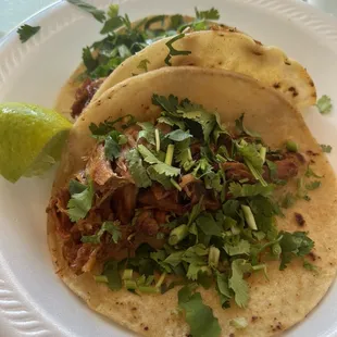 Corn tacos, carnitas, with fresh cilantro
