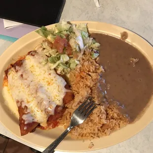 Chicken enchiladas. Great flavor and full of chicken topped with delicious cheese.