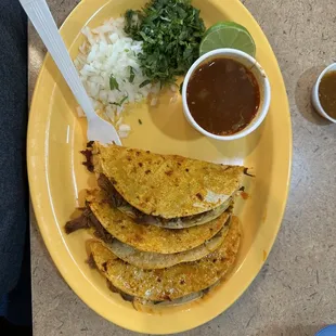 Tacos Quesoburrios