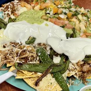 These are some serious Ultimate Nachos!