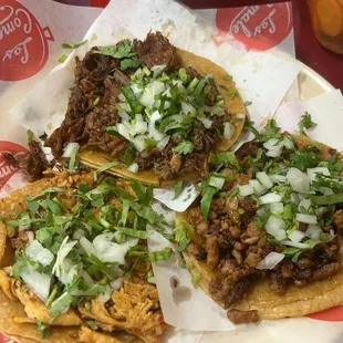 Birria taco, Al Pastor Taco, Pollo Adobado Taco