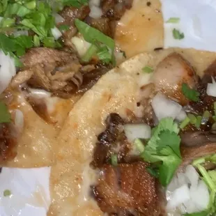 Carnitas tacos