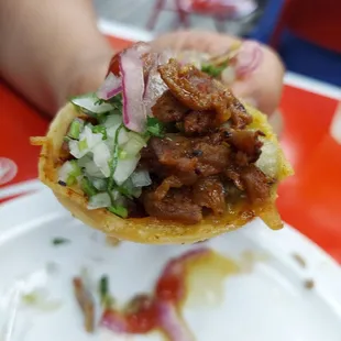a hand holding a taco